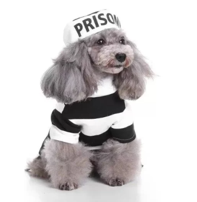 Pet Life Striped Retro Inmate Prisoner Pet Dog Costume Uniform