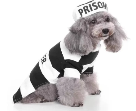 Pet Life Striped Retro Inmate Prisoner Pet Dog Costume Uniform