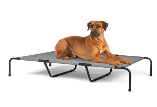 Elevated Bed for Large Breed Dogs