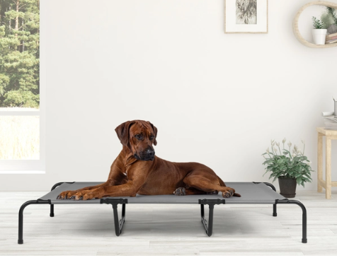 Elevated Bed for Large Breed Dogs