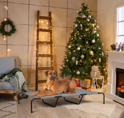 Elevated Bed for Large Breed Dogs