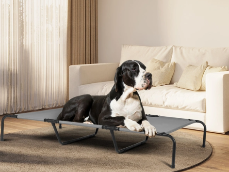 Elevated Bed for Large Breed Dogs