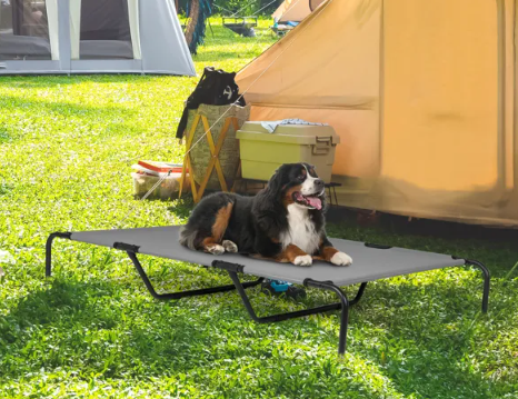 Elevated Bed for Large Breed Dogs