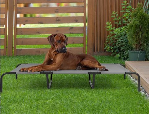 Elevated Bed for Large Breed Dogs