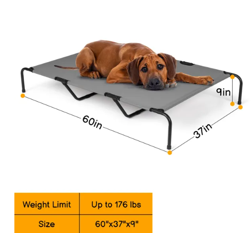 Elevated Bed for Large Breed Dogs