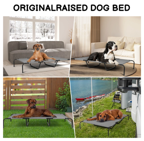 Elevated Bed for Large Breed Dogs