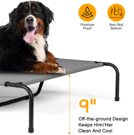 Elevated Bed for Large Breed Dogs