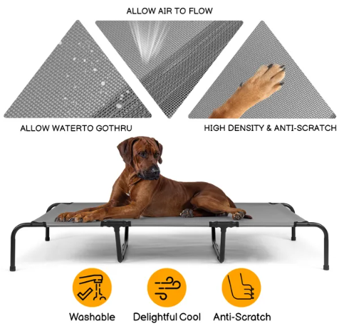 Elevated Bed for Large Breed Dogs