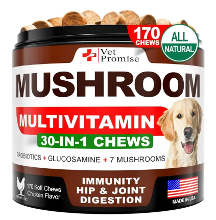 Mushroom Supplement for Immunity Support Multivitamin Joint Health Energy Gut Skin Vitamins for Dogs - 170 count