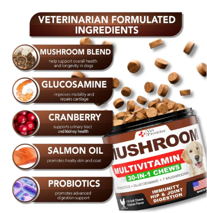 Mushroom Supplement for Immunity Support Multivitamin Joint Health Energy Gut Skin Vitamins for Dogs - 170 count