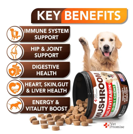 Mushroom Supplement for Immunity Support Multivitamin Joint Health Energy Gut Skin Vitamins for Dogs - 170 count