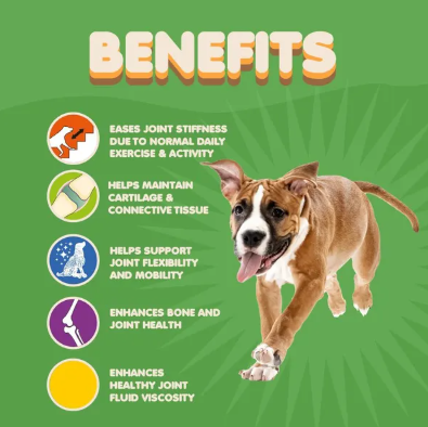 Collagen Joint Supplement with Vitamin C Support for Mobility Elasticity and Flexibility for Dogs