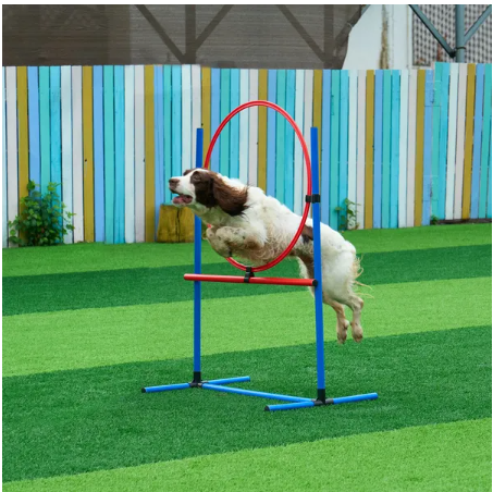 5 Piece - Agility Training Equipment Set Upgrade with Hurdles, Extended Tunnel for Dogs