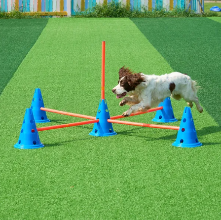 Agility Training Hurdle/Cone Set - 12 Cones, 6 Rods with Storage Bag for Dogs