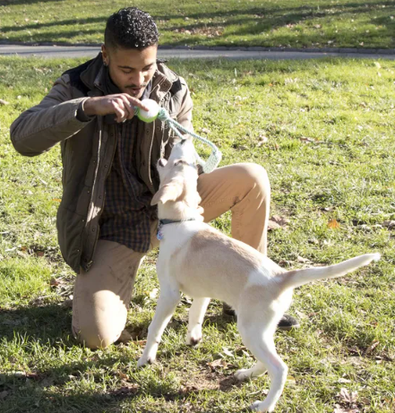 Pull Away Rope and Tennis Ball Toy for Dogs