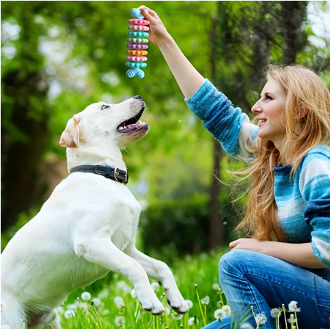 Durable Dog Chew Toys - 2 Toy Pack