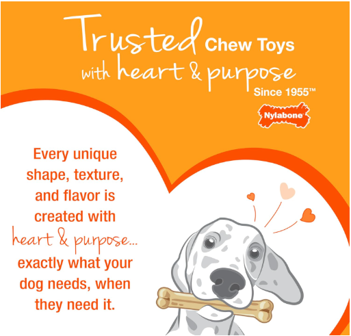 Nylabone Puppy Chew Toy Starter Pack - Dogs up to 25 lbs.