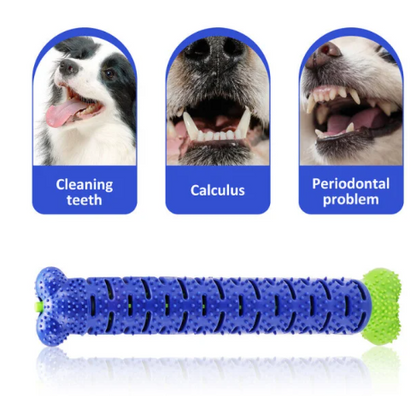 Rubber Dental Toothbrush Chew Toy for Dogs