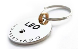 Engraved ID Tag for Anti-Lost Protection for Dogs and Cats