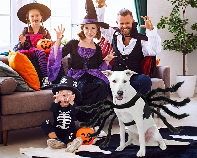 Halloween Spider Costume Fun For Cats And Small And Medium-sized Dogs