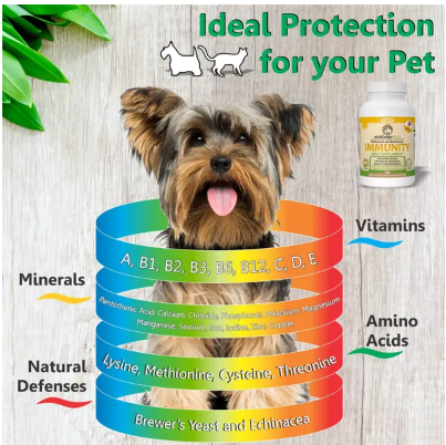 Immune Support and Allergy Relief with Vitamins Minerals Echinacea and Brewers Yeast for Dogs