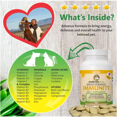 Immune Support and Allergy Relief with Vitamins Minerals Echinacea and Brewers Yeast for Dogs