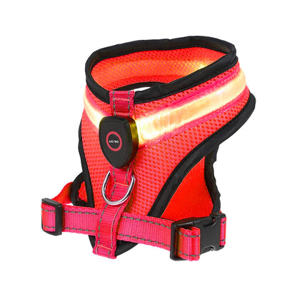 Rechargeable LED Lighted Dog Harness Vest