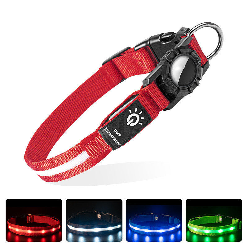 Waterproof LED Lit Collar for Dogs