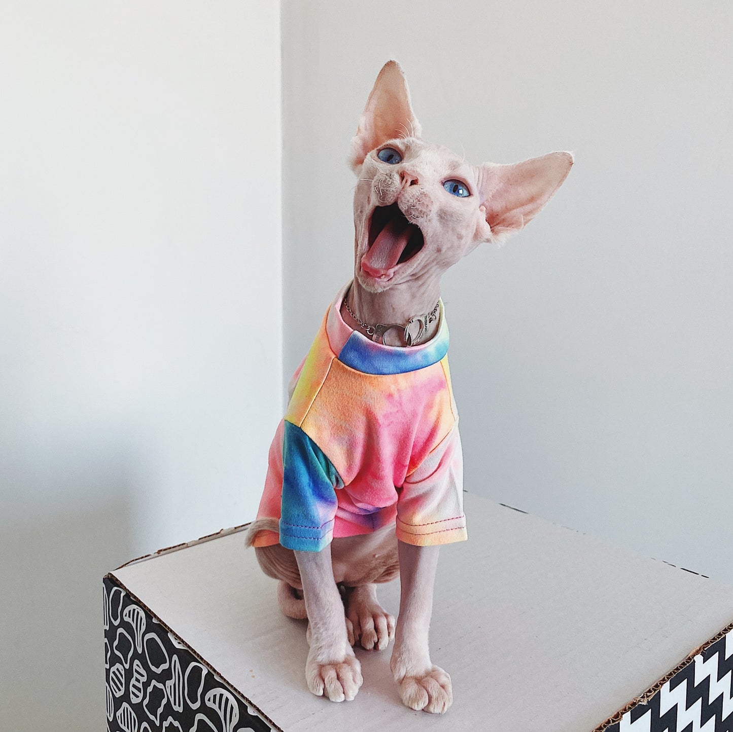 Tie-Dyed Rainbow Shirts for Hairless Cats