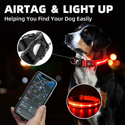 Waterproof LED Lit Collar for Dogs