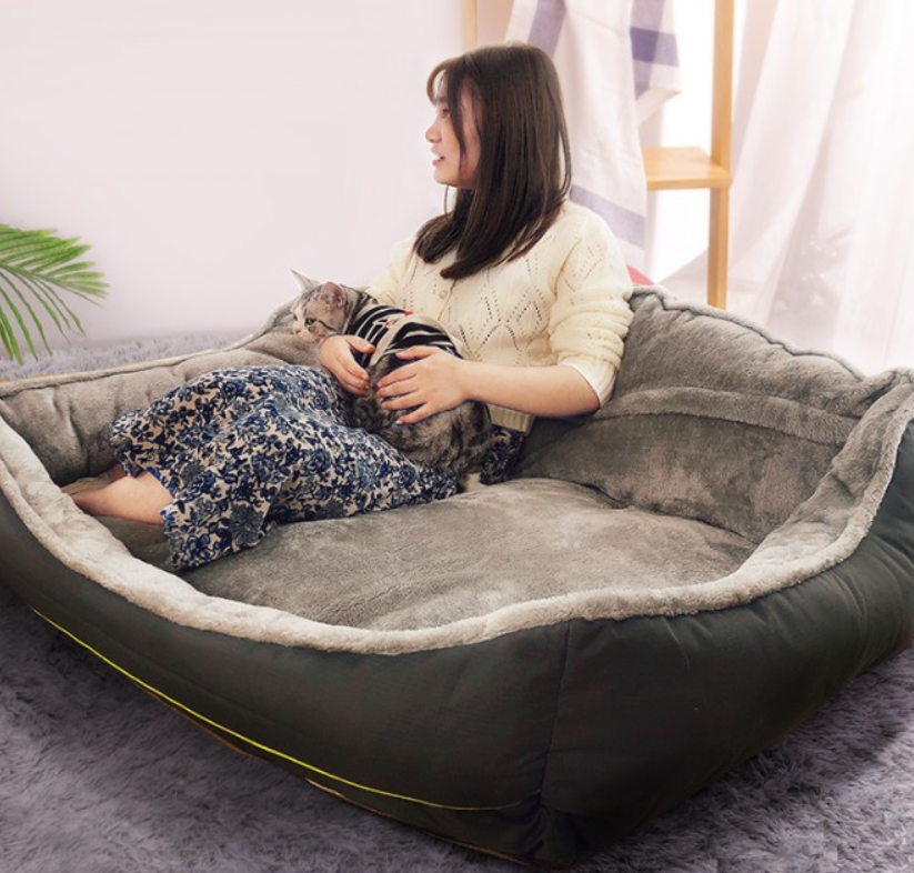 Sofa Style Dog Beds for Healthy Lounging