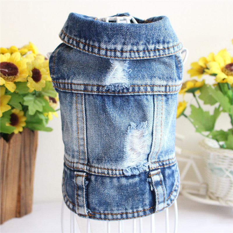 Designer Denim Jacket for Small Dogs or Cats