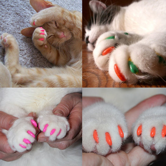 Anti-Scratch Claw Safety Cap Sets for Cats