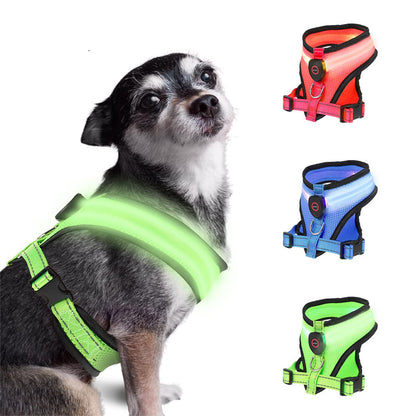 Rechargeable LED Lighted Dog Harness Vest