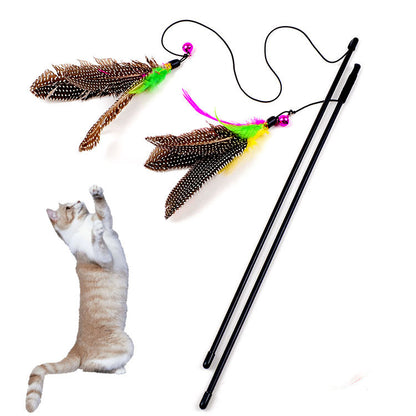 Feathered Bird Cat Teaser Tether and Rod