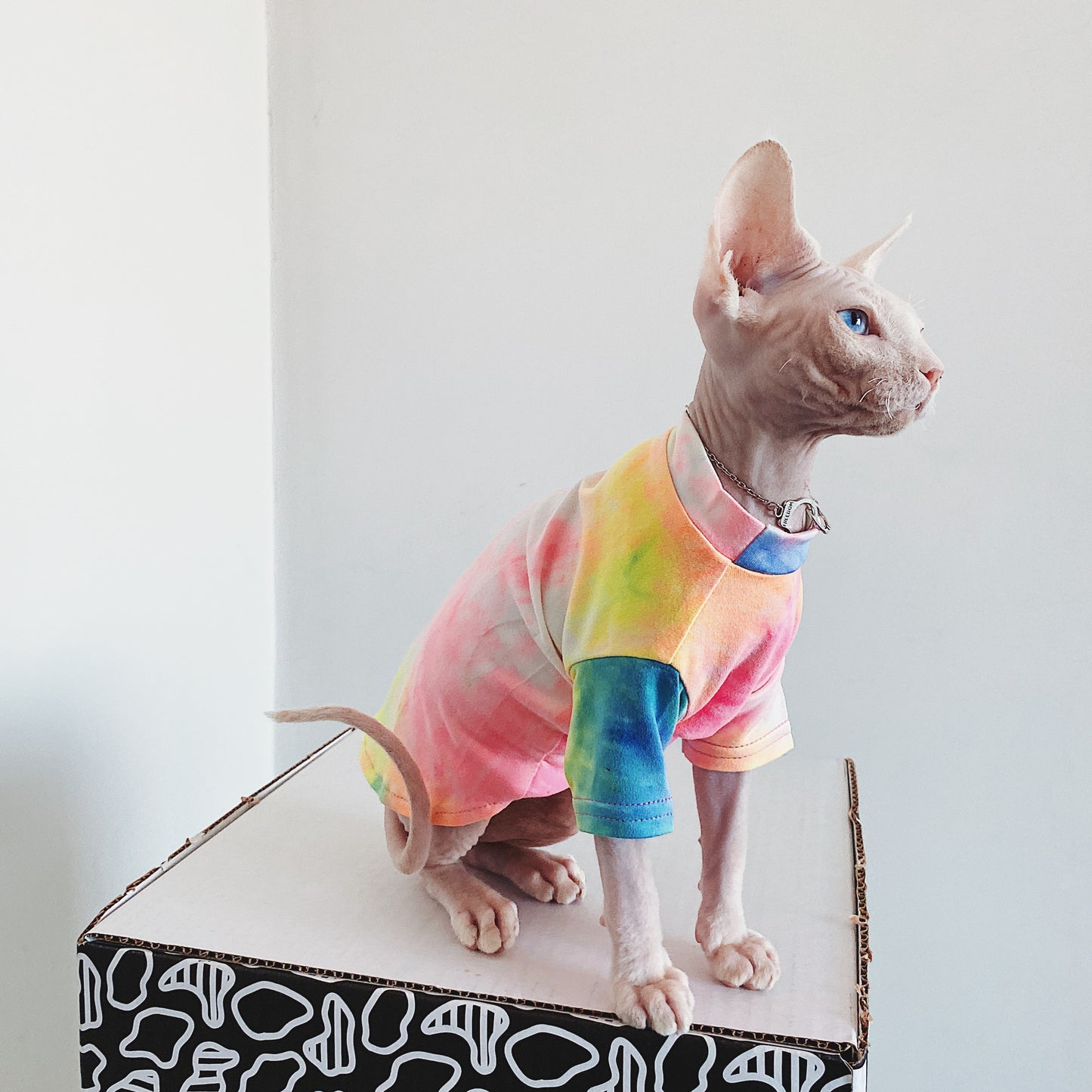 Tie-Dyed Rainbow Shirts for Hairless Cats