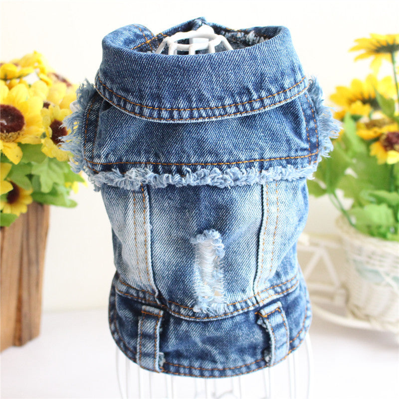 Designer Denim Jacket for Small Dogs or Cats