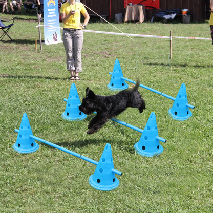 Training Cones and Bars for Dogs - Set of 6