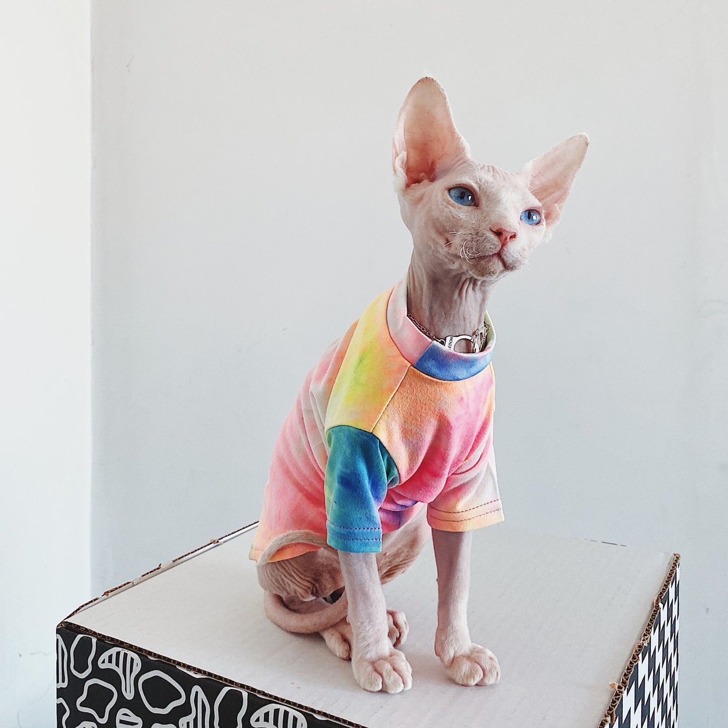 Tie-Dyed Rainbow Shirts for Hairless Cats