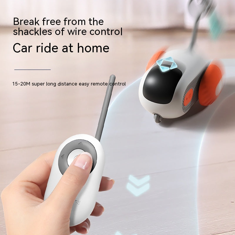 USB Rechargeable Interactive Remote Cat Toy