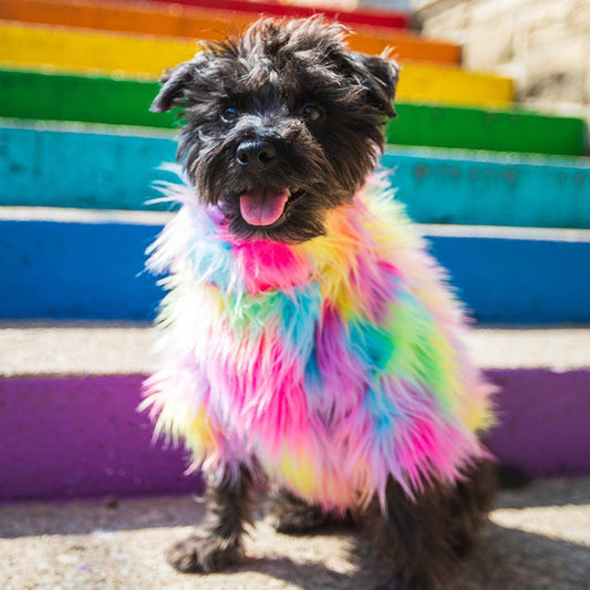 Festive Fuzzy Sweaters for Dogs and Cats