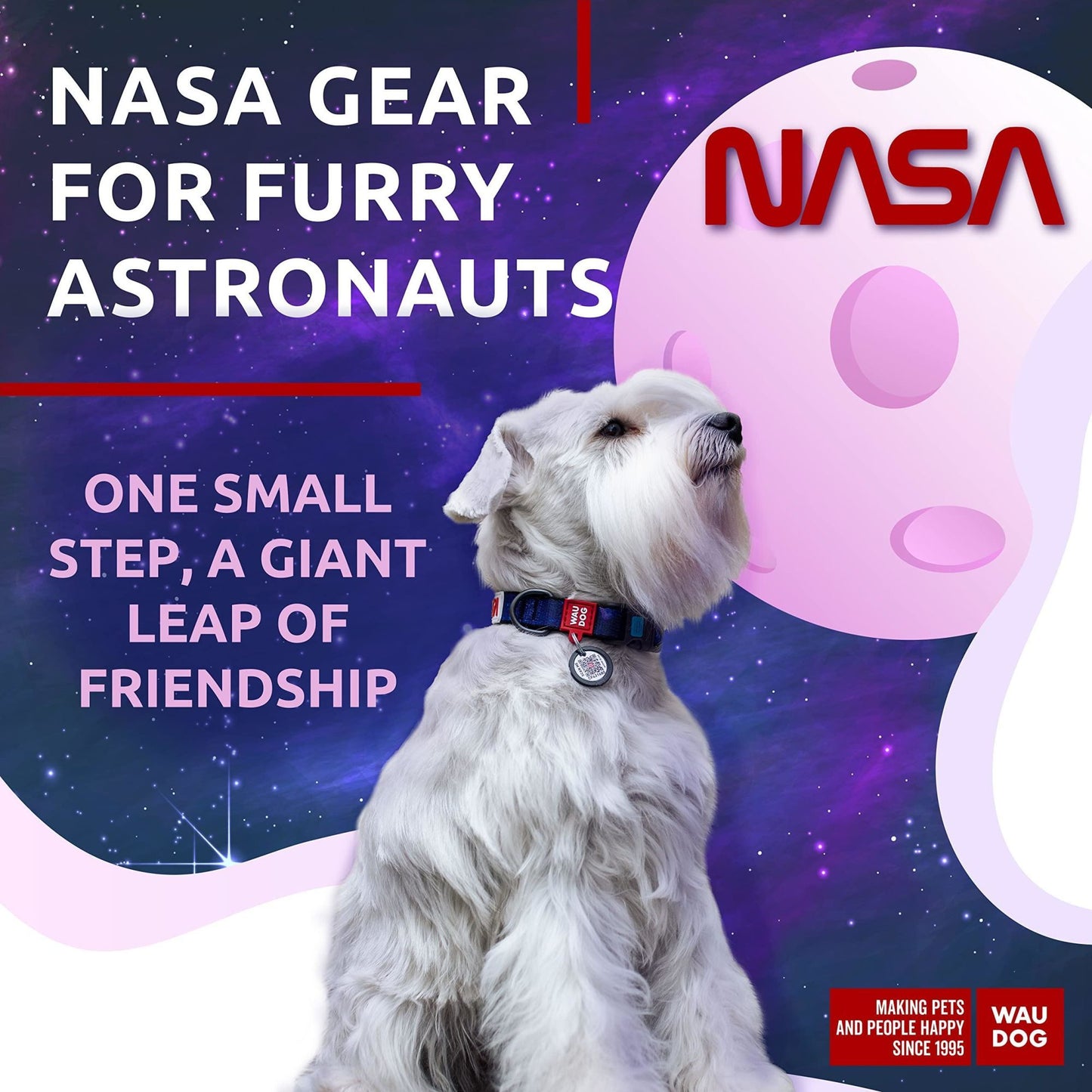 NASA Licensed Space Pattern Nylon Collar for Dogs