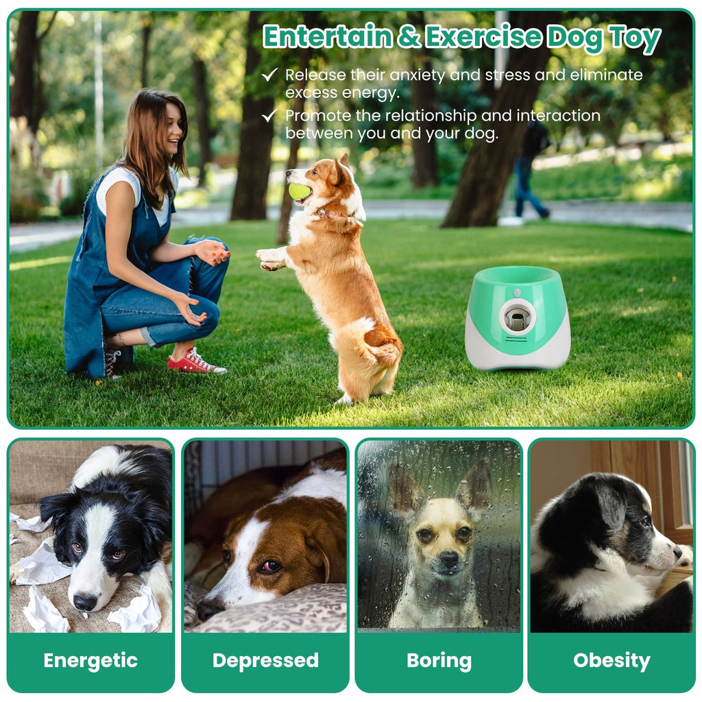 Adjustable Automatic Ball Launcher Included 6 Tennis Balls for Dogs