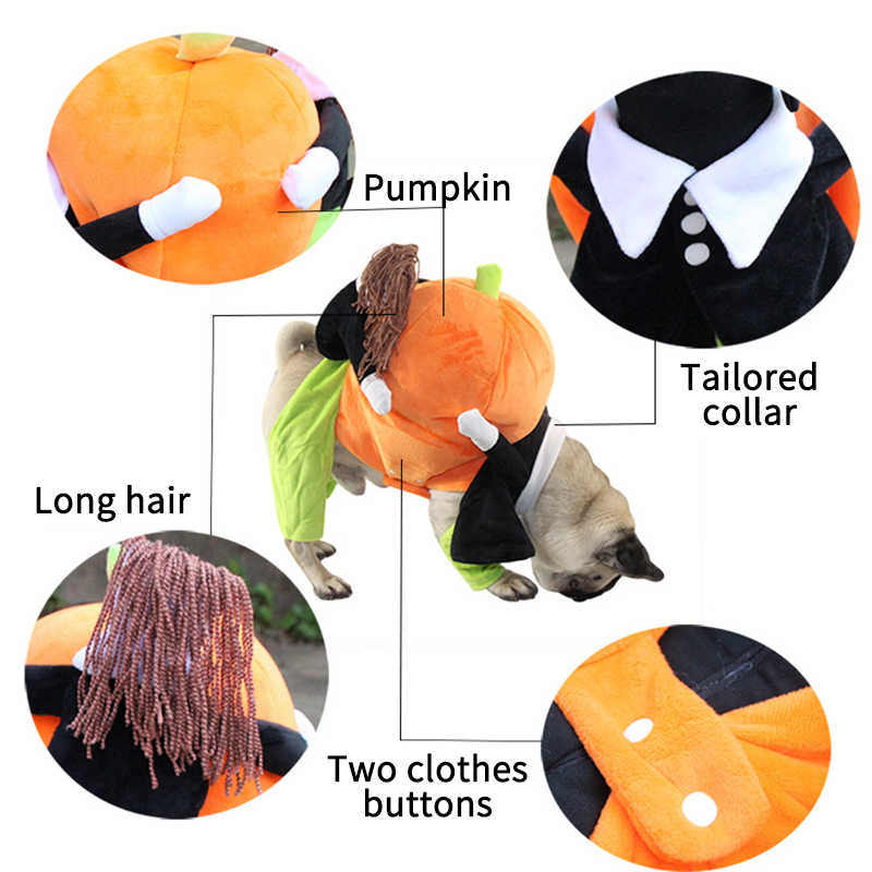 Pet Life - 'Pumpkin Man' Halloween Costume for Dogs