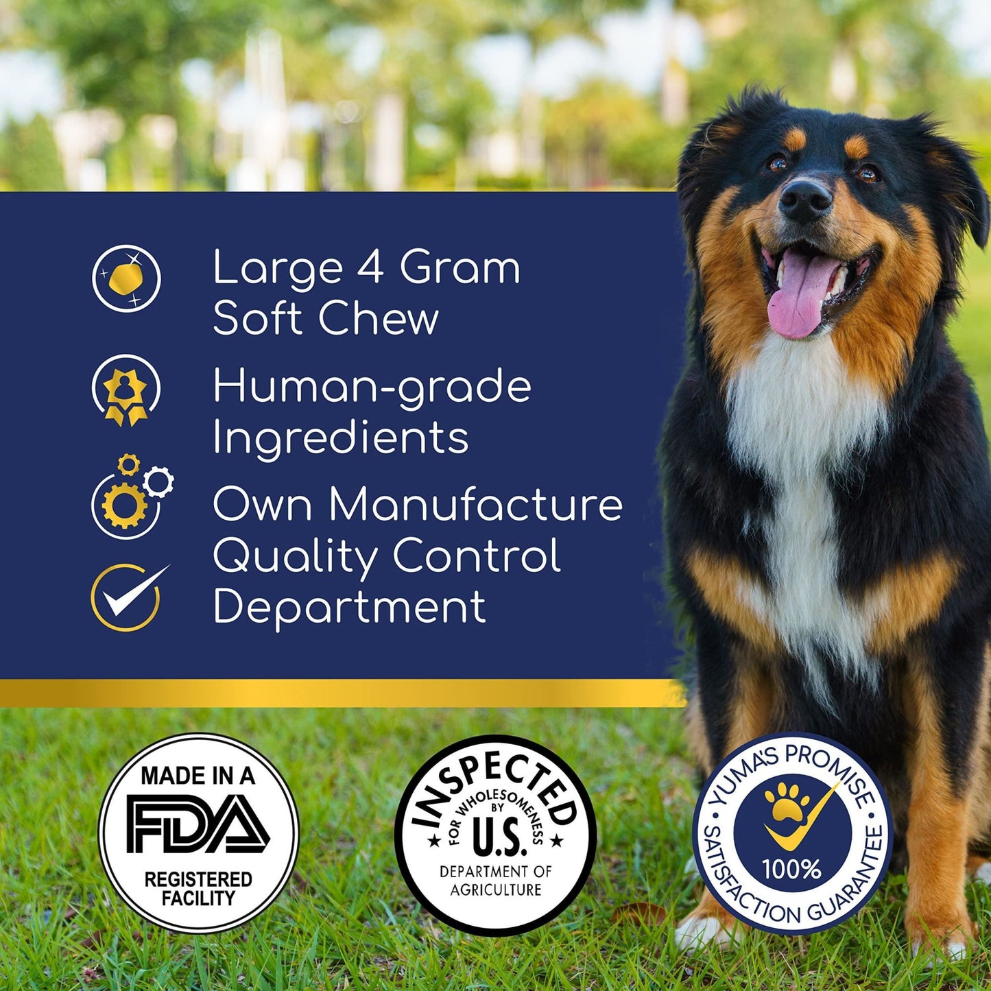 Yuma's - Natural Hemp Calming Chews for Dogs