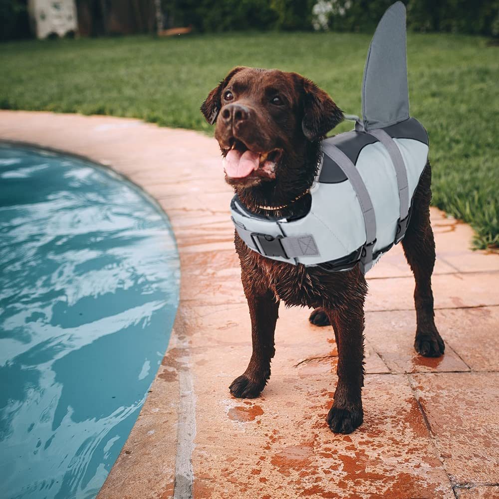 Fun Shark and Mermaid Life Jackets for Dogs