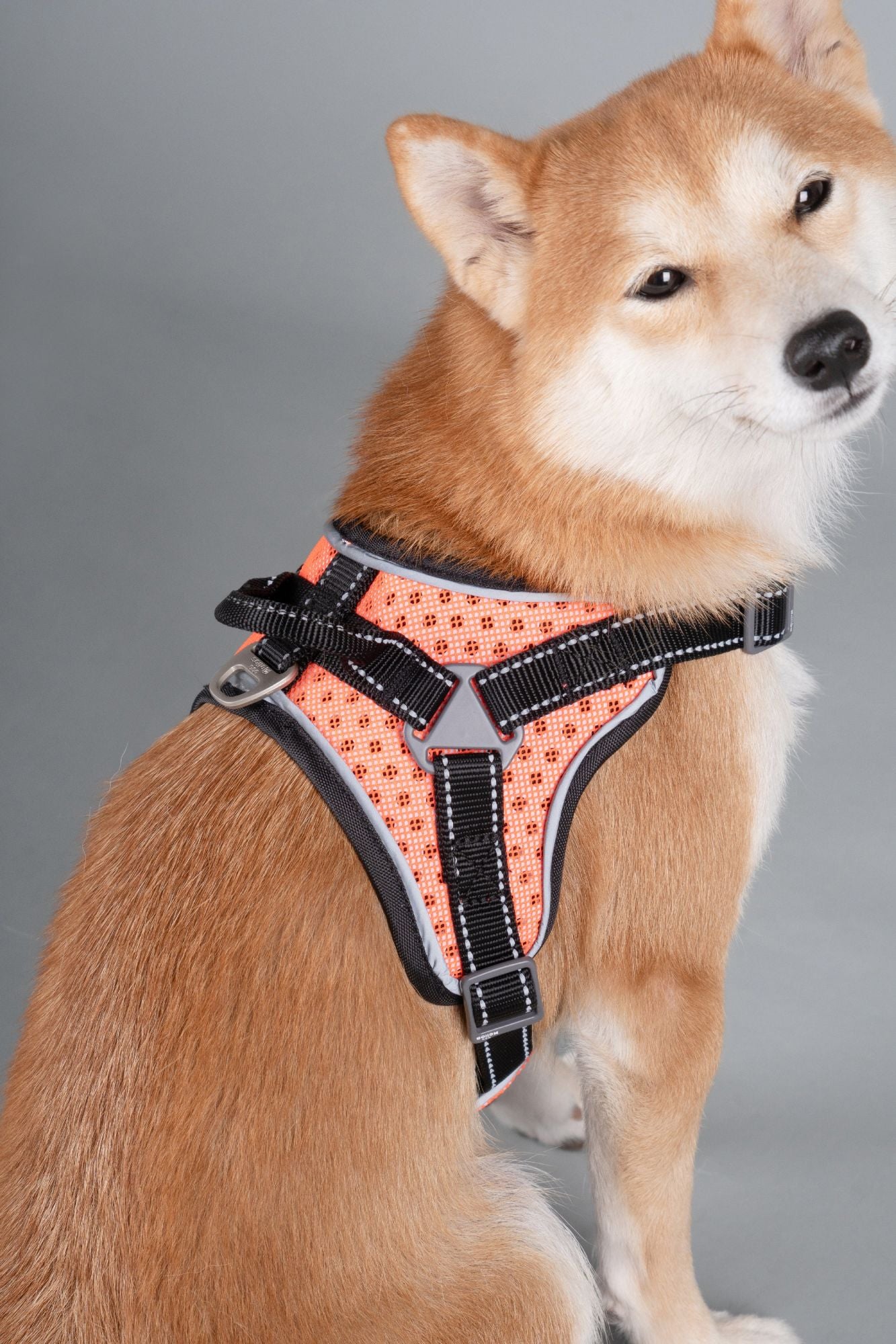 Helios 'Scorpion' Sporty High-Performance Free-Range Dog Harness