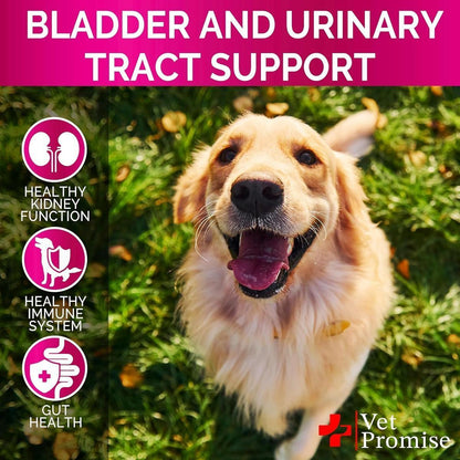 Natural Urinary and Bladder Control Treatment Cranberry Chews for Dogs