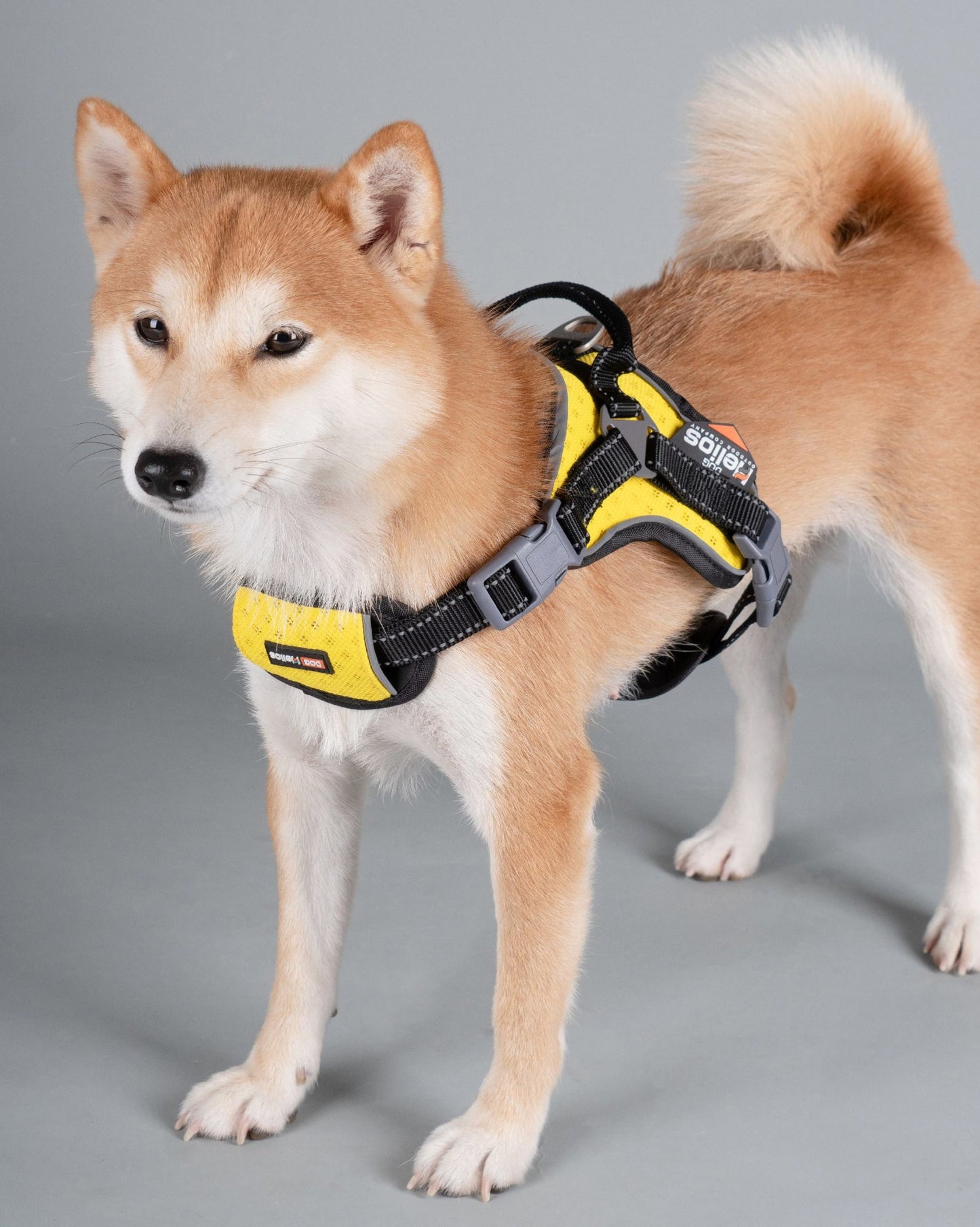 Helios 'Scorpion' Sporty High-Performance Free-Range Dog Harness