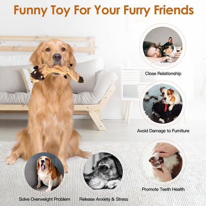 5 Piece No Stuffing Toys With Squeaky Balls for Dogs